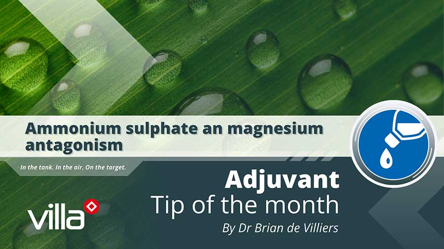 Ammonium sulphate and magnesium antagonism