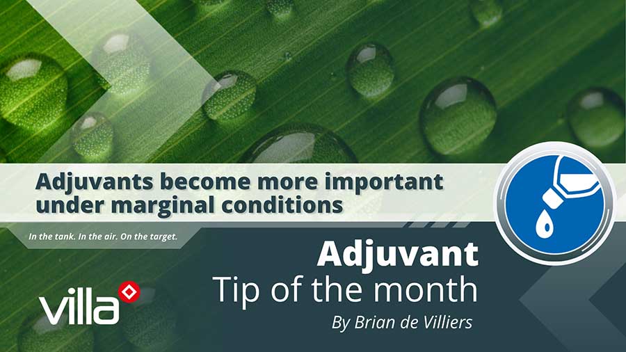 Adjuvants become more important under marginal conditions