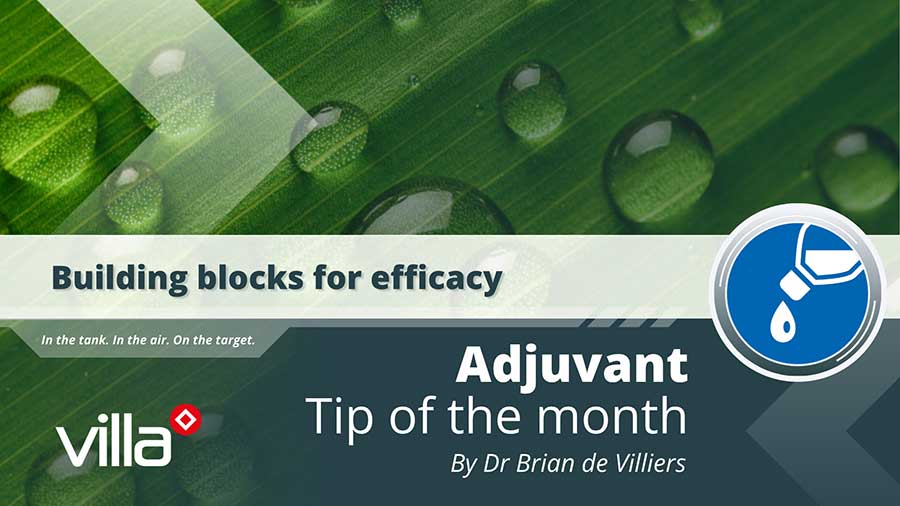 Building blocks for efficacy