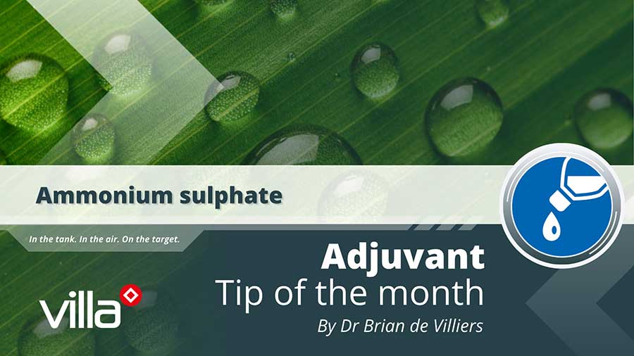 Ammonium sulphate