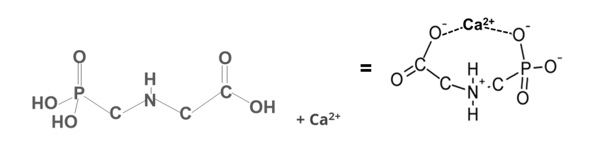 Figure 1: The distortion of the glyphosate molecule by a divalent cation like Ca2+.