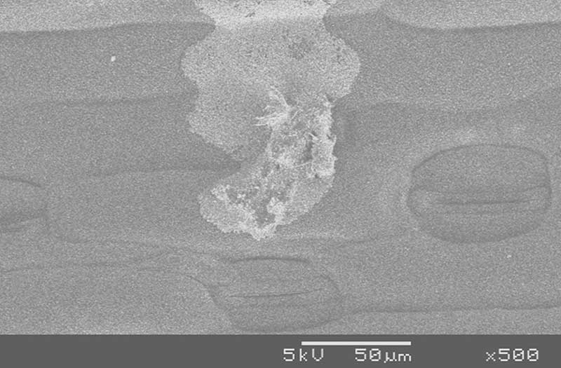 Photo 3:  Glyphosate in calcium-containing water where ammonium sulphate was used (Note the star shaped calcium sulphate crystals and the rest of the deposit that has the same appearance as glyphosate in distilled water).