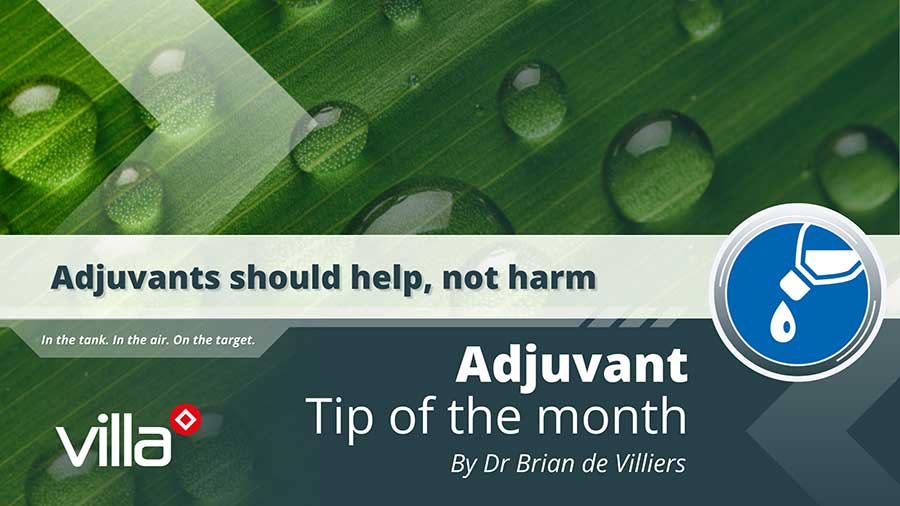 Adjuvants should help, not harm