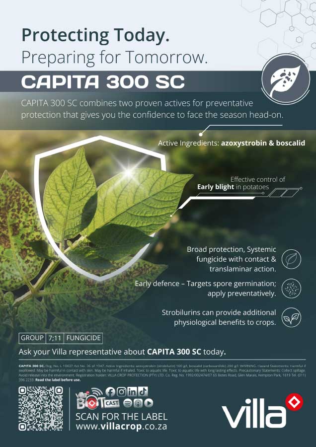 CAPITA-300-SC-potato