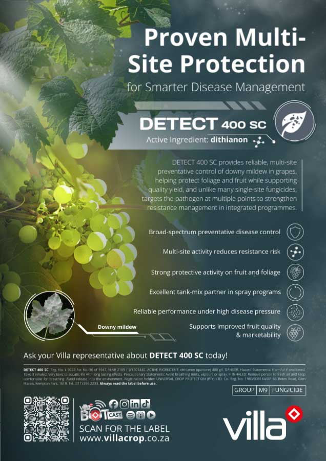DETECT-400-SC_Grape