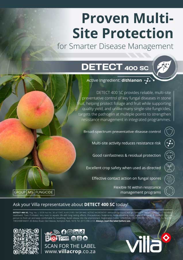 DETECT-400-SC_Stone