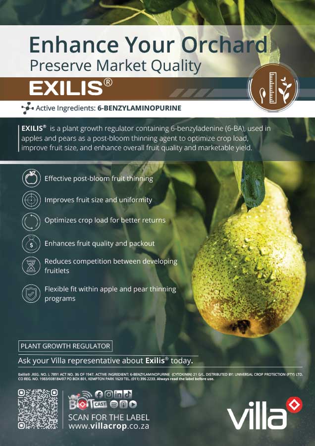 EXILIS
