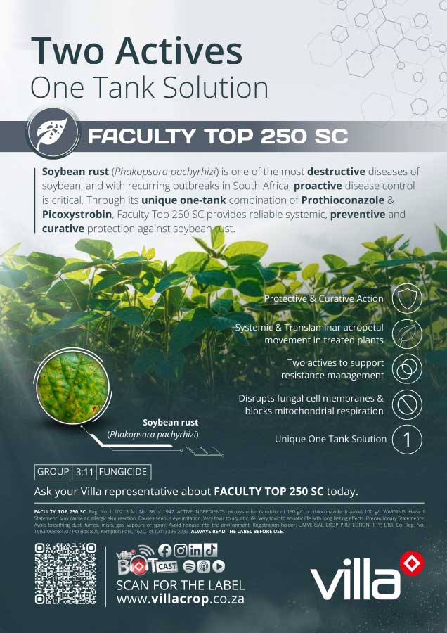 FACULTY-TOP-250-SC--soya-bean