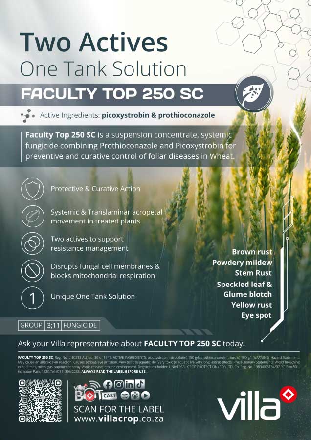 FACULTY-TOP-250-SC--wheat