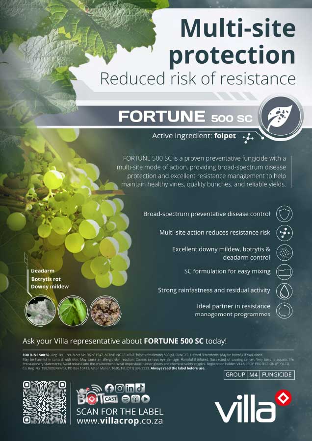 FORTUNE-500-SC---grape