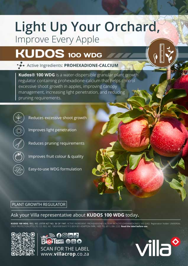 KUDOS-100-WDG
