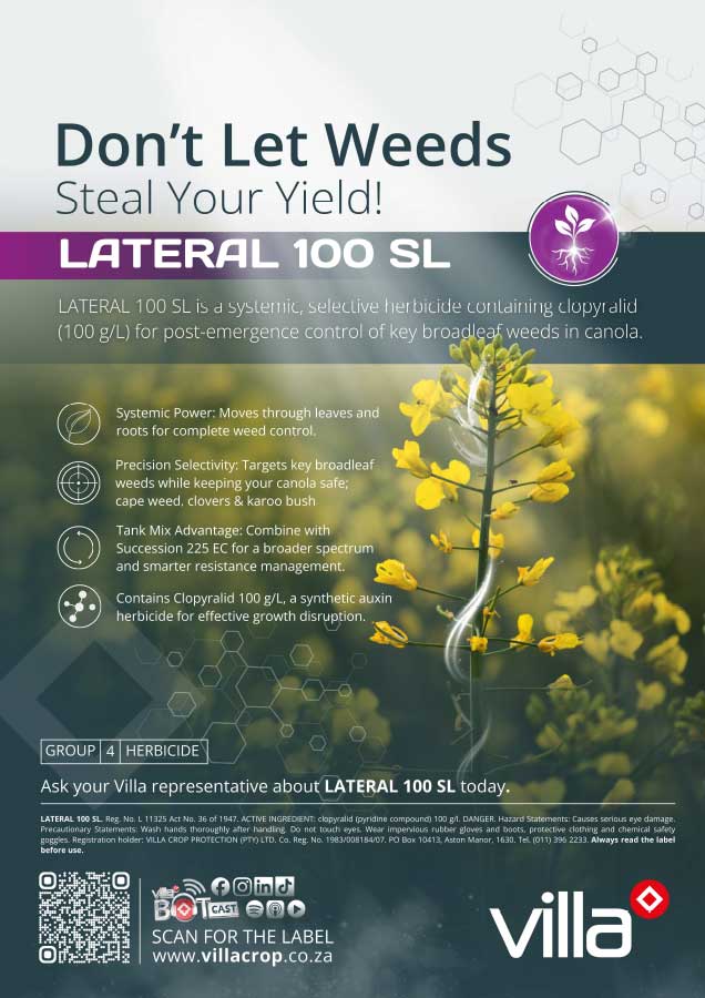 LATERAL-100-SL---canola