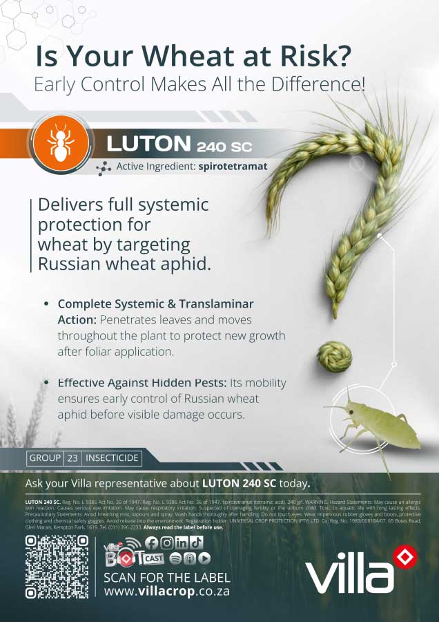 LUTON-240-SC---wheat