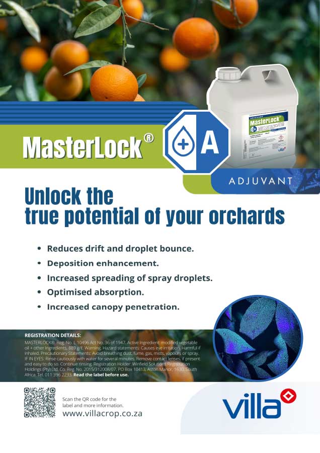 Masterlock-Citrus
