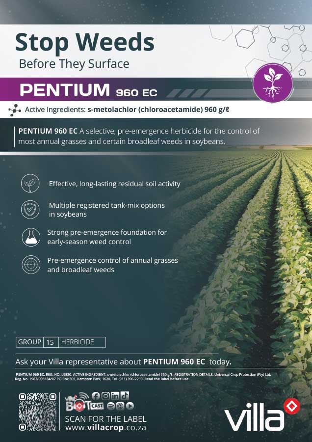 PENTIUM-950-EC---potato