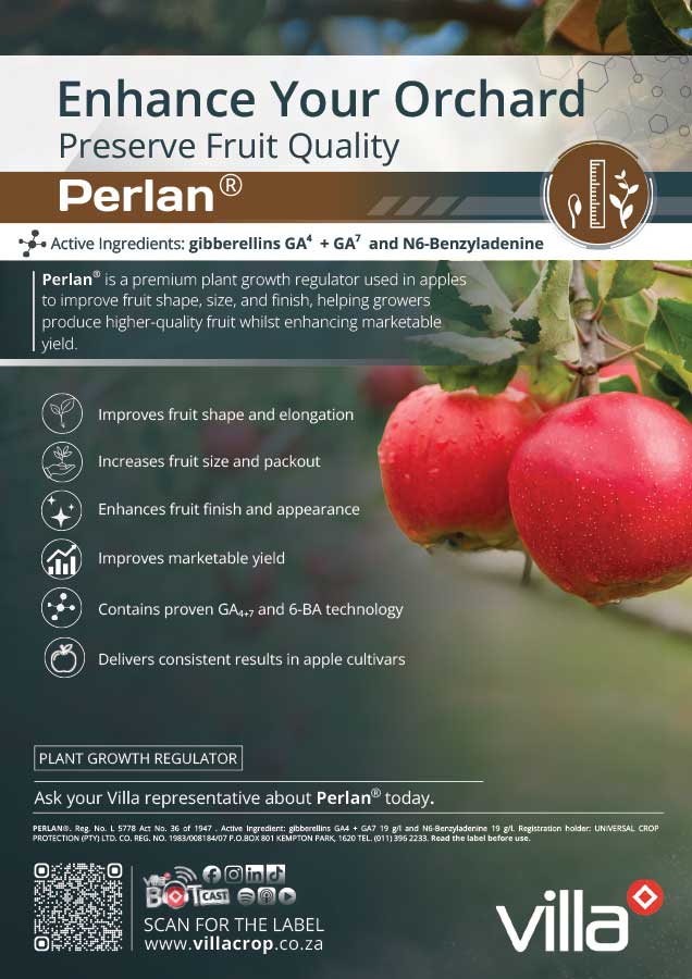 PERLAN---tomato
