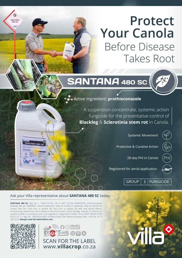 SANTANA-480-EC---canola_2