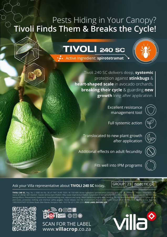 TIVOLI-240-SC---avo