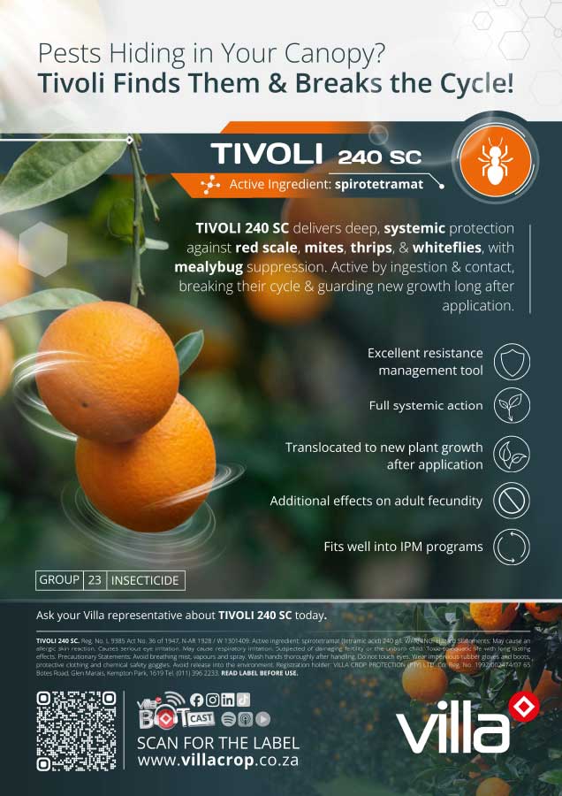 TIVOLI-240-SC---citrus