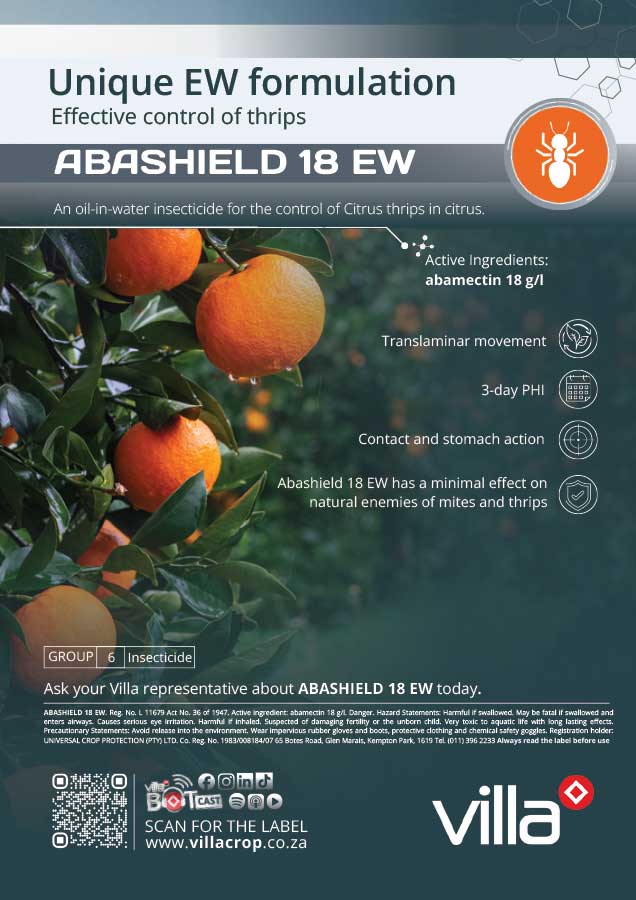 ABASHIELD-18-EW